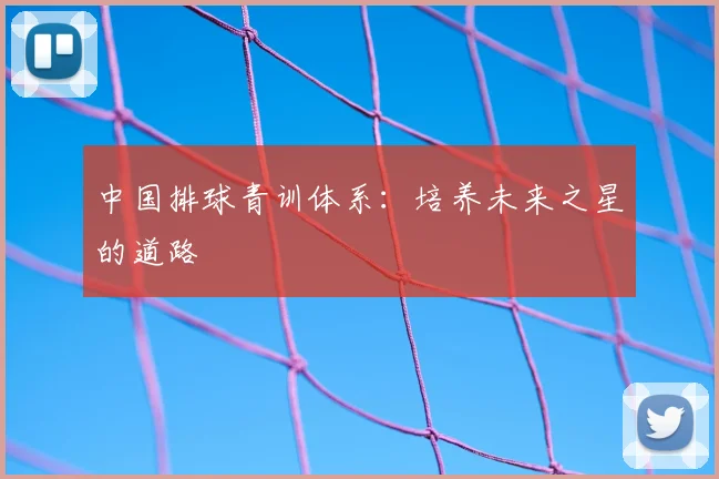 中国排球青训体系：培养未来之星的道路