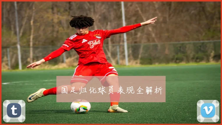 国足归化球员表现全解析